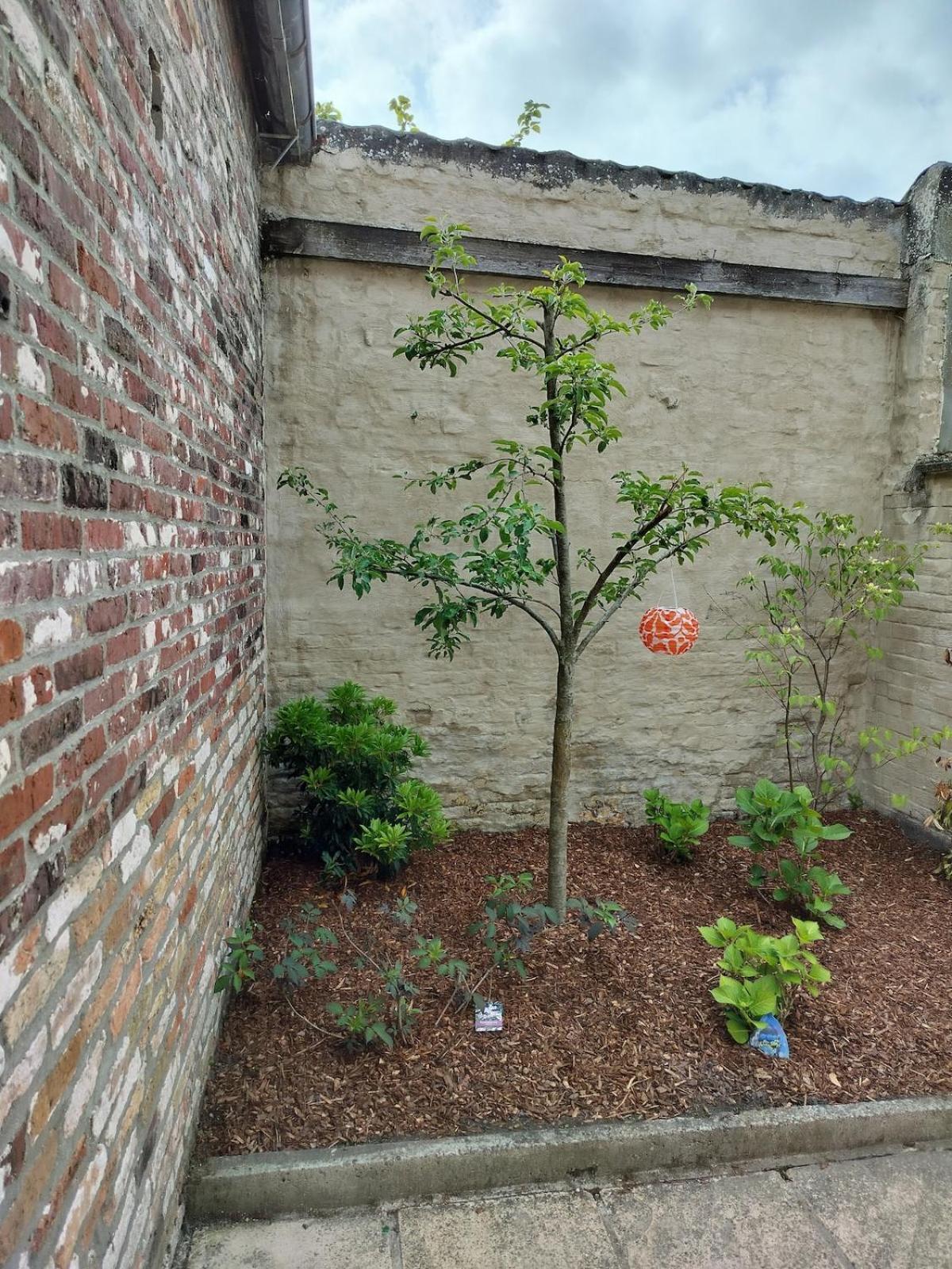 Holidayhouse Balie Bruges Exterior foto